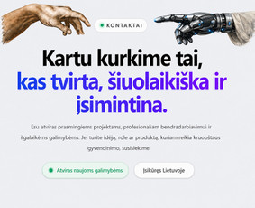 Interneto svetainių kūrimas - Interneto svetainių, programinių sistemų kūrimas ir Seo - 1