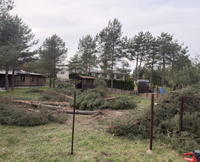 Vejos priežiūra, įrengimas - Sklypų tvarkymas , krūmų - medžių pjovimas - 4