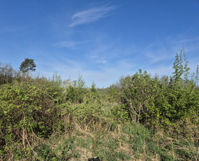 Apleistų sklypų tvarkymas / UAB Smaita / Darbų pavyzdys ID 4442138