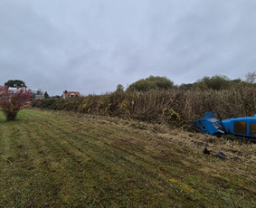 Apleistų sklypų tvarkymas / UAB Smaita / Darbų pavyzdys ID 4442142