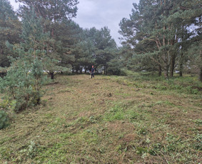 Apleistų sklypų tvarkymas / UAB Smaita / Darbų pavyzdys ID 4442152