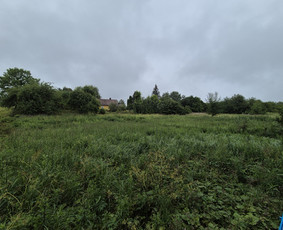 Apleistų sklypų tvarkymas / UAB Smaita / Darbų pavyzdys ID 4442160