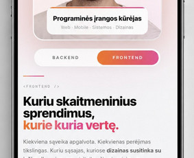 Svetainių dizainas (web design) - Interneto svetainių, programinių sistemų kūrimas ir Seo - 4