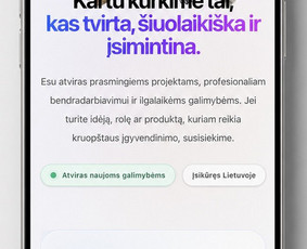 Interneto svetainių, programinių sistemų kūrimas ir Seo / Oners.dev.lt / Darbų pavyzdys ID 4442184