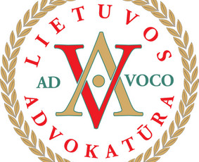 Advokato konsultacija - Profesionalios advokato paslaugos - 1