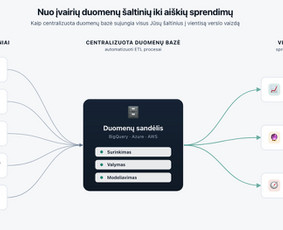 IT specialistai - Duomenų analitikos ir duomenų mokslo paslaugos - 3