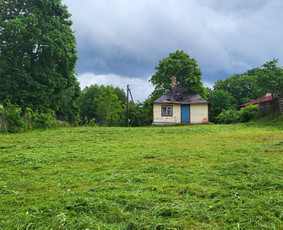 Sklypų tvarkymas – žolė, krūmai, gyvatvorės / Tvarkau Aplinką / Darbų pavyzdys ID 4442946