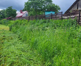 Sklypų tvarkymas – žolė, krūmai, gyvatvorės / Tvarkau Aplinką / Darbų pavyzdys ID 4442954