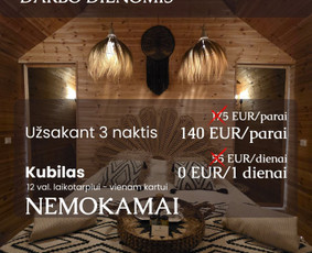 Reklamos paslaugos - Meta Ads reklama, Woocommerce el. parduotuvių priežiūra, Seo - 3