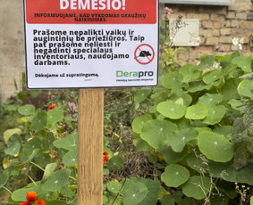 Kenkėjų naikinimas, prevencija - Kenkėjų naikinimas 24/7 Vilniuje - 4
