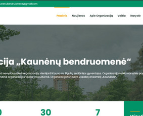 Internetas, IT - Interneto svetainių kūrimas, El. parduotuvių kūrimas - 4