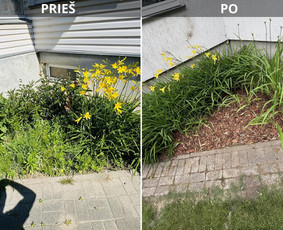 Drenažo įrengimas - Žoles pjovimas,vejos įrengimas, laistymo sistemos - 2