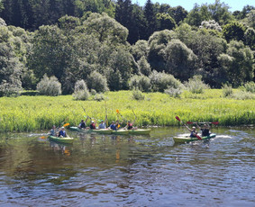 Baidarių nuoma Dubysos upe / Ričardas Remenčius / Darbų pavyzdys ID 4447082