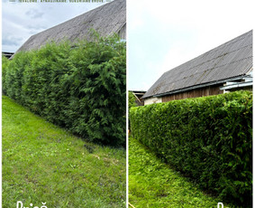 Gyvatvorių karpymas - Aplinkos tvarkymo darbai, žolės pjovimas, kelmų frezavimas. - 1