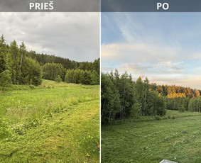 Vejos priežiūra, įrengimas - Žolės pjovimas trimeriu, vejos pjovimas - 1