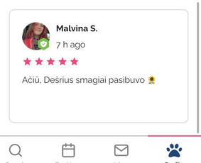 &Scaron;unų vie&scaron;bučiai, vedžiojimas, priežiūra - Kačių nakvynė/vizitai - 3