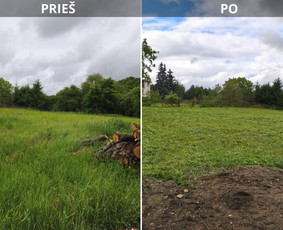 Vejos priežiūra, įrengimas - Žolės pjovimas trimeriu - 2