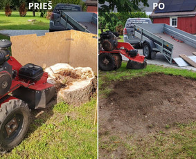 Medžių genėjimas, pjovimas - Kelmų frezavimas &scaron;aku smulkintuvo nuoma - 1