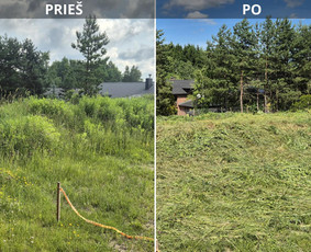 Tradiciniai amatai - Sklypų valymas, žolės pjovimas, krūmų ir medžių pjovimas - 2