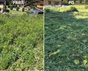 Tradiciniai amatai - Sklypų valymas, žolės pjovimas, krūmų ir medžių pjovimas - 1