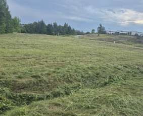 Aplinka, sodas - Avarinių medžių pjovimas, Medžių genėjimas, Žolės pjovimas - 4