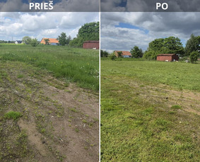 Aplinka, sodas - Avarinių medžių pjovimas, Medžių genėjimas, Žolės pjovimas - 3