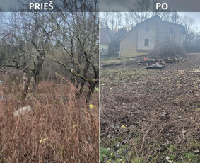 Aplinka, sodas - Avarinių medžių pjovimas, Medžių genėjimas, Žolės pjovimas - 2
