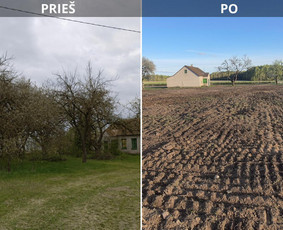Aplinka, sodas - Avarinių medžių pjovimas, Medžių genėjimas, Žolės pjovimas - 1