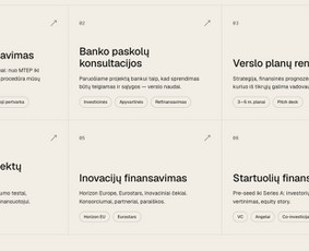 Verslo konsultantai - Verslo projektų ir paskolų rengimas - 3