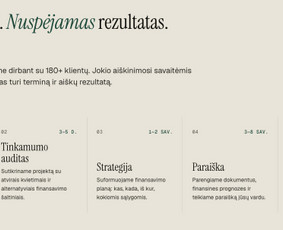 Verslo konsultantai - Verslo projektų ir paskolų rengimas - 2