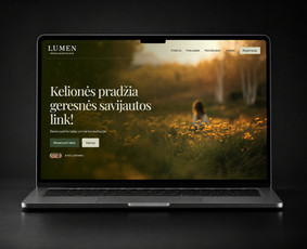 Svetainių kūrimas - Interneto puslapiai e paruoduotuvės - 4