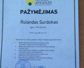 Arboristo Paslaugos.avarinių medžių pjovimas-aplinkos darbai / Rolandas Surdokas / Darbų pavyzdys ID 953483