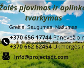 Žolės pjovimas - Žolės pjovimas / mulčiavimas - 1