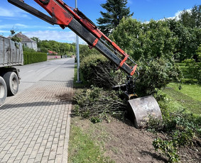 Saugus Pjūvis. Avaringų Medžių Pjovimas Genėjimas Arboristai / Saugus Pjūvis Arboristai / Darbų pavyzdys ID 4451050