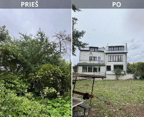 Apleistų sklypų tvarkymas - Saugus Pjūvis. Avaringų Medžių Pjovimas Genėjimas Arboristai - 4