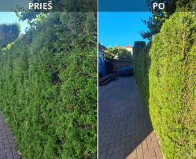 Kraštovaizdžio dizainas / Gerule Gardens / Darbų pavyzdys ID 4451878