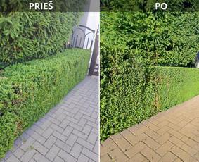 Apželdinimo konsultacija - Kra&scaron;tovaizdžio dizainas, augalų priežiūra, gėlynų įrengimas - 3