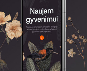 Reklama, dizainas, spauda - 15+ metų patirtis: dizainas, marketingas, konversijų augimas - 2