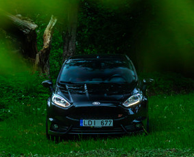 Nekilnojamo Turto, Automobilių ir Renginių Foto ir Video / Dovydas Skeizgelas / Darbų pavyzdys ID 4452296