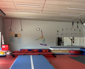 Interjero dekoravimas - Pie&scaron;imas/tapymas ant sienų, murals, pie&scaron;imas ant stiklo - 4