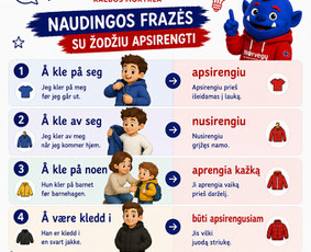 Norvegų kalbos kursai, pamokos - Norvegų kalbos mokymai, kursai, vertimai, tekstų kūrimas - 3
