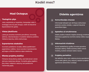 Google Ads reklama - Google ir Meta reklamos valdymas smulkiam verslui - 2