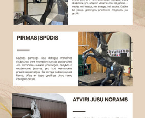 Internetinių svetainių, tinklapių, el. parduotuvių kūrimas / Laurynas Nomeika / Darbų pavyzdys ID 4455308