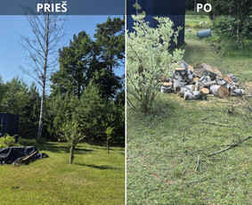 Statybos, apdaila - Avarinių medžių pjovimas, Medžių genėjimas, Žolės pjovimas - 1