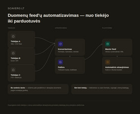 Di sprendimai, automatizavimas ir virtualūs agentai / Scavero.lt / Darbų pavyzdys ID 4456334