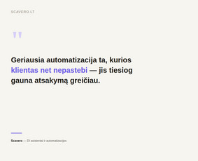 Di sprendimai, automatizavimas ir virtualūs agentai / Scavero.lt / Darbų pavyzdys ID 4456368