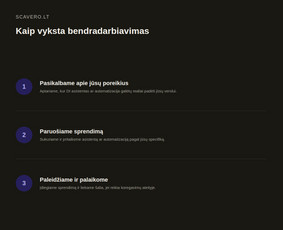 Di sprendimai, automatizavimas ir virtualūs agentai / Scavero.lt / Darbų pavyzdys ID 4456374