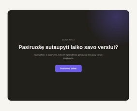 Di sprendimai, automatizavimas ir virtualūs agentai / Scavero.lt / Darbų pavyzdys ID 4456384