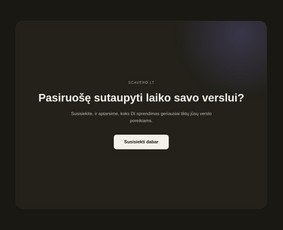 Di sprendimai, automatizavimas ir virtualūs agentai / Scavero.lt / Darbų pavyzdys ID 4456386