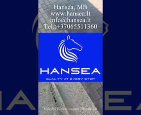Profesionalus Trinkelių, Fasadų, Stogų plovimas, impregnavim / Hansea, MB / Darbų pavyzdys ID 4456422